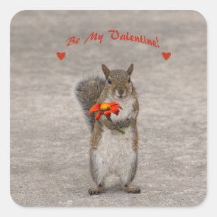 Be My Valentine From Cute Squirrel Square Sticker