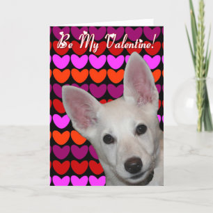 Be My Valentine Greeting Card