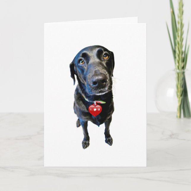 Be My Valentine Holiday Card (Front)