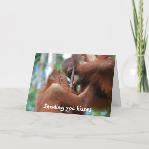 Be My Valentine Kisses Holiday Card