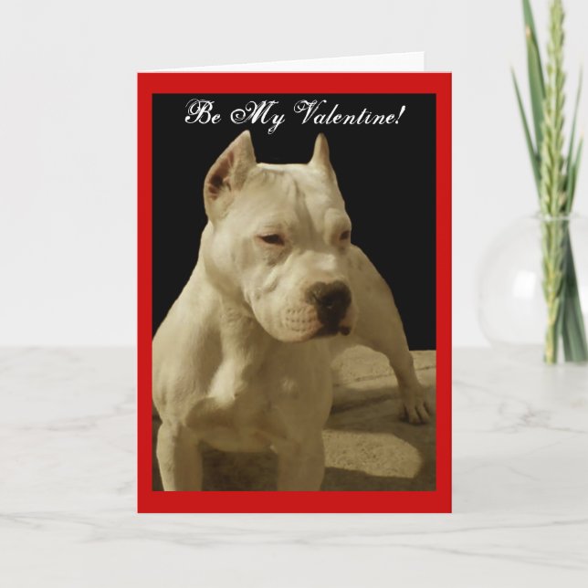 Be My Valentine pitbull greeting card (Front)
