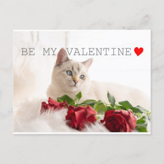 Be my Valentine Postcard
