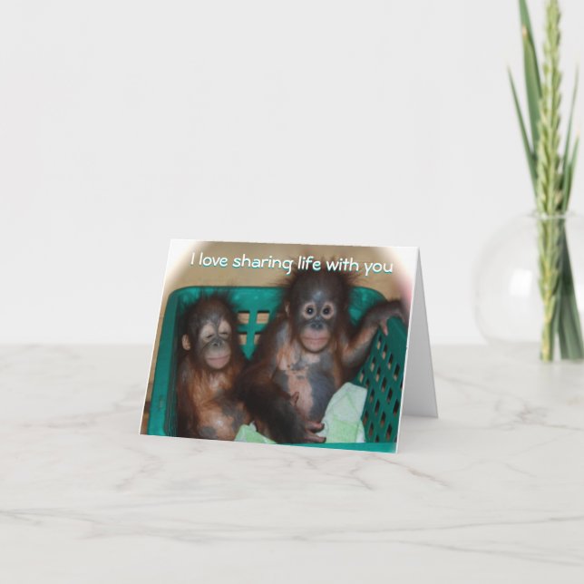 Be My Valentine Sweet Baby Animal Photo Holiday Card (Front)