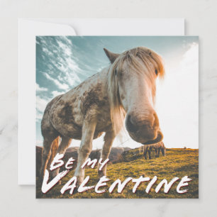Be my Valentine with looking Horse