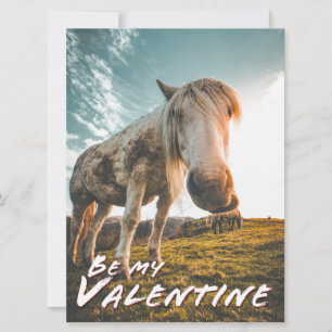 Be my Valentine with looking Horse