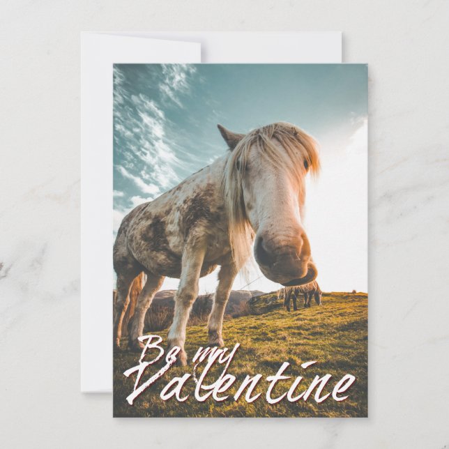 Be my Valentine with looking Horse V2.0 (Front)