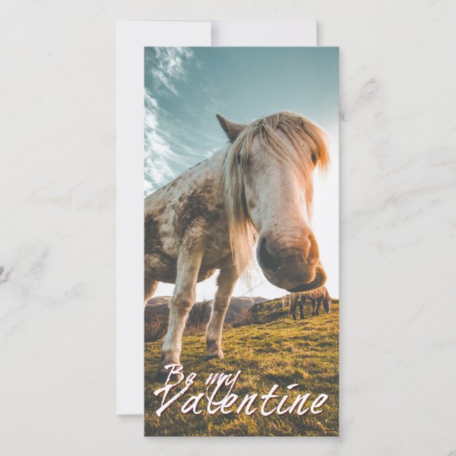 Be my Valentine with looking Horse V2.0 (Front)