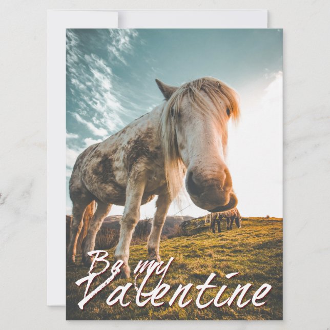 Be my Valentine with looking Horse V2.0 (Front)