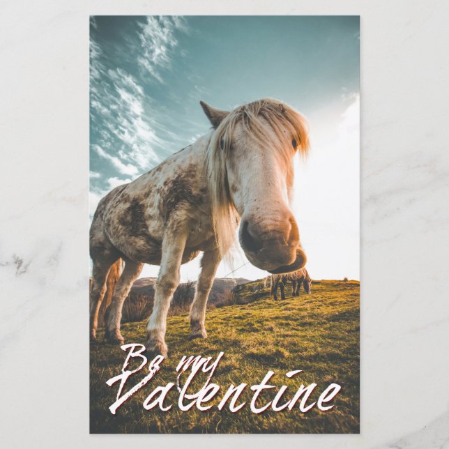 Be my Valentine with looking Horse V2.0 (Front)