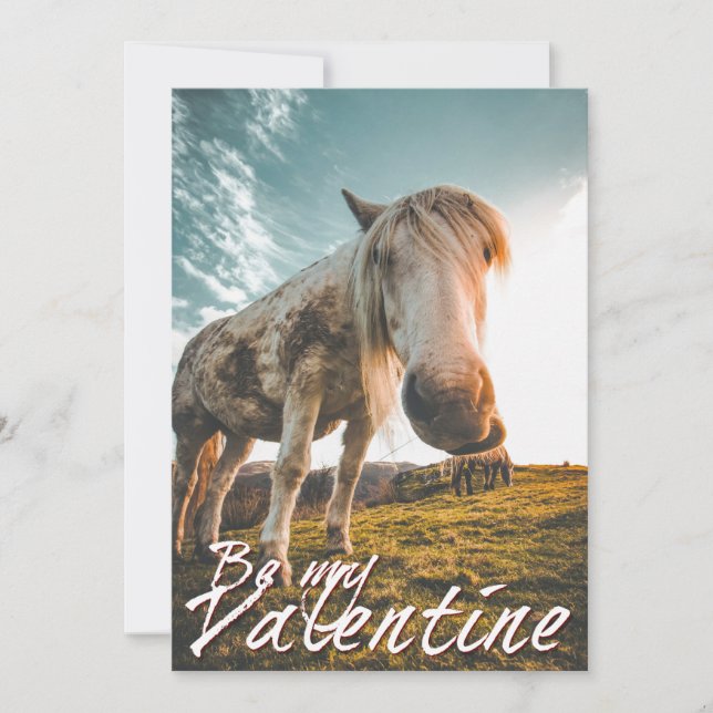 Be my Valentine with looking Horse V2.0 (Front)