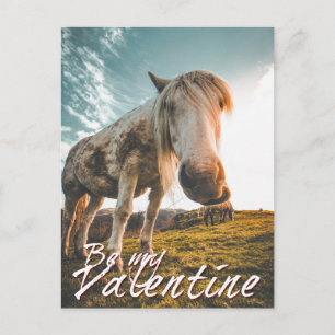 Be my Valentine with looking Horse V2.0 Holiday Postcard