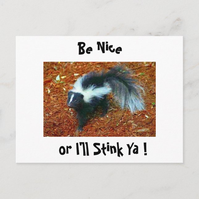 Be nice or I'll stink ya!-postcard Postcard (Front)