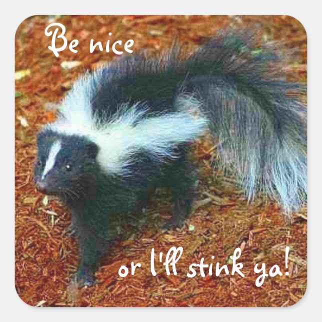 Be nice or I'll stink ya!-square sticker (Front)