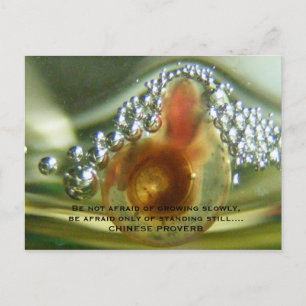 Be not afraid of growing slowly, be a... postcard