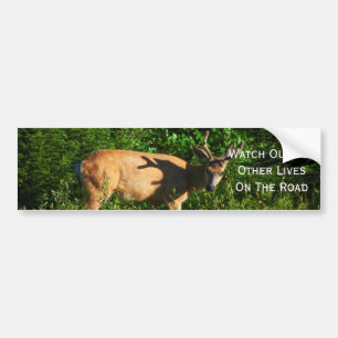 Be on Your Way Bumper Sticker