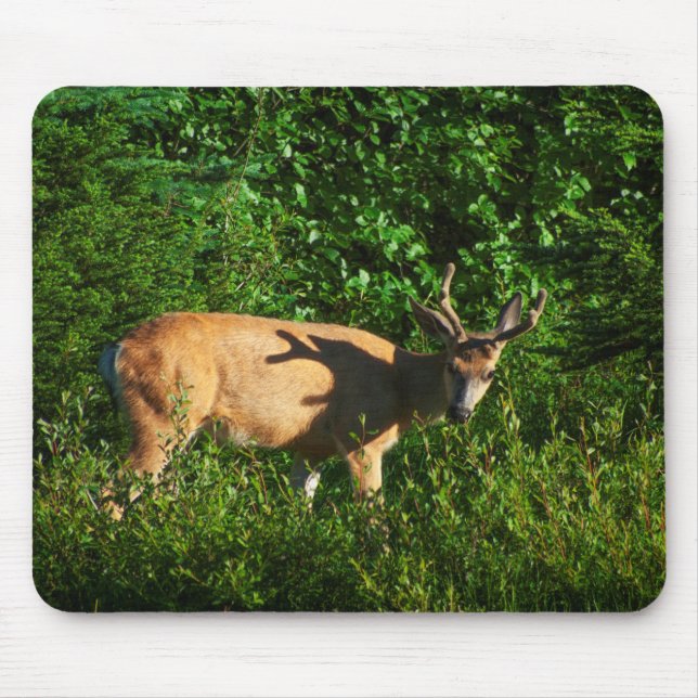 Be on Your Way Mouse Mat (Front)