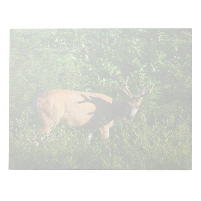 Be on Your Way Notepad (Front)