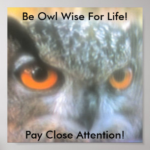 Be Owl Wise For Life!, Pay Clos.. Poster