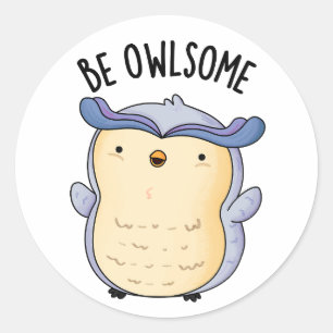 Be Owlsome Funny Owl Puns  Classic Round Sticker