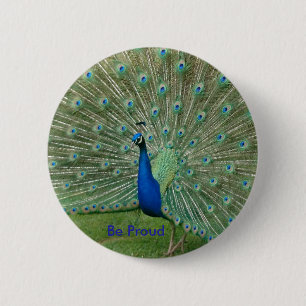 Be Proud Peacock Badge