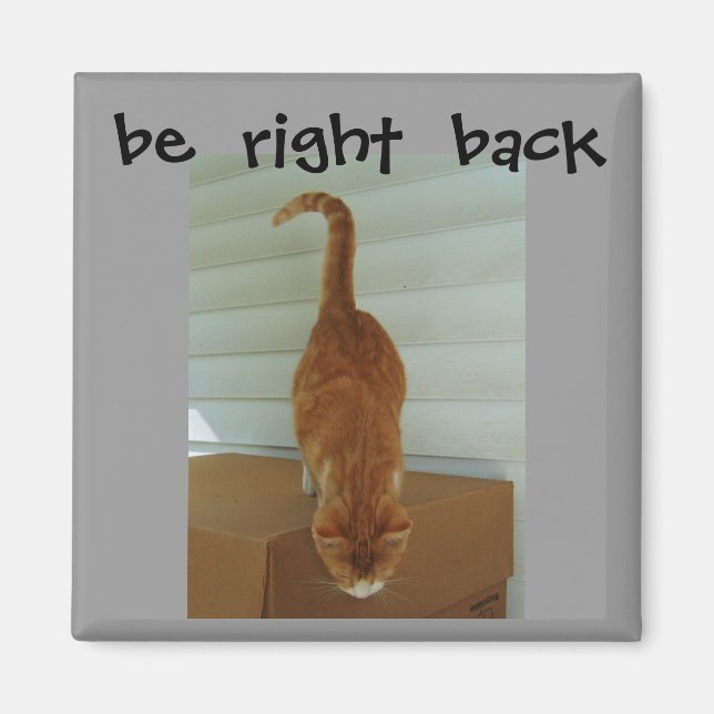 be  right  back magnet, stray1 magnet (Front)