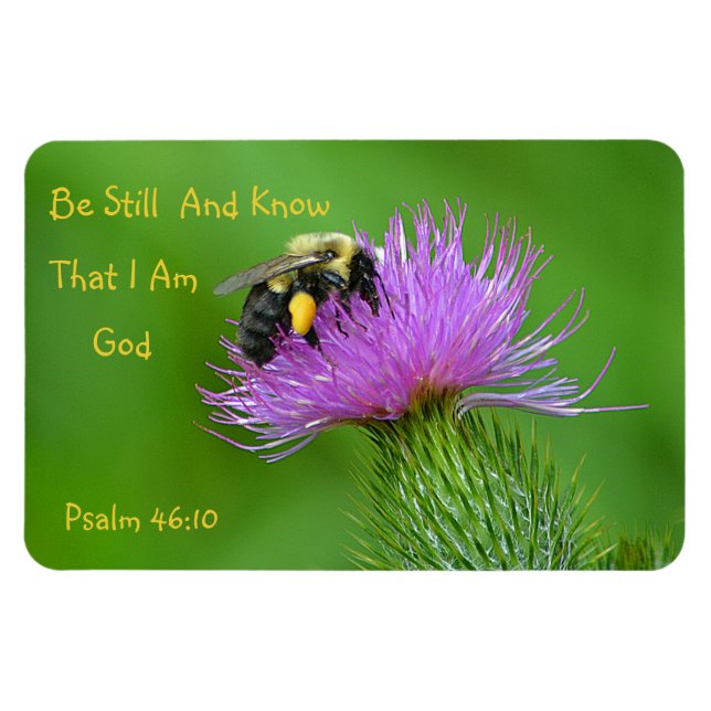 Be Still Bumblebee Magnet (Horizontal)