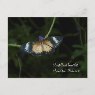 Be Still Postcard