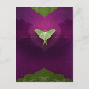 Be Still (Postcard) Postcard