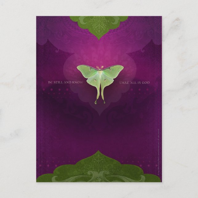 Be Still (Postcard) Postcard (Front)