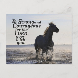 Be Strong and Courageous Deuteronomy 31:6 Horse Postcard