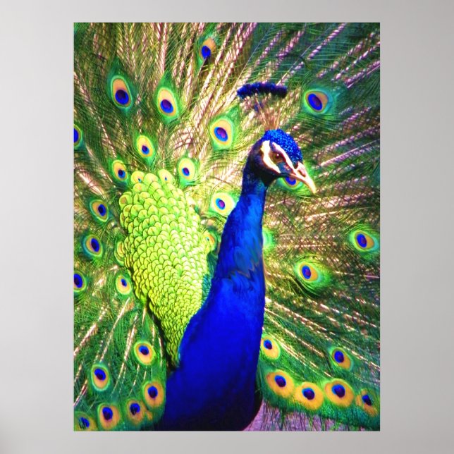 Be Strong_Poster Poster (Front)