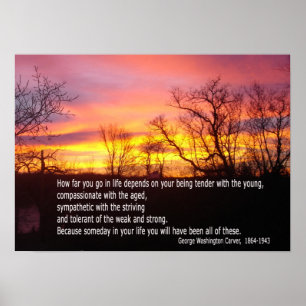 Be tender with the young poster