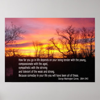 Be tender with the young poster