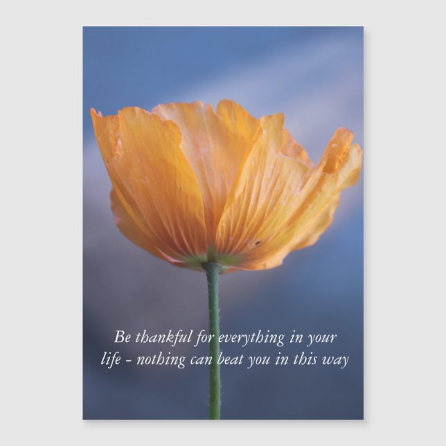 be thankful, yellow poppy flower in blue. (Front)