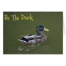 Be the Duck