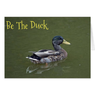 Be the Duck