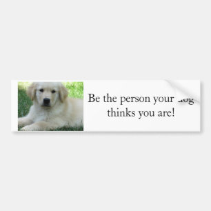 Be the person your dog thinks you are bumper sticker