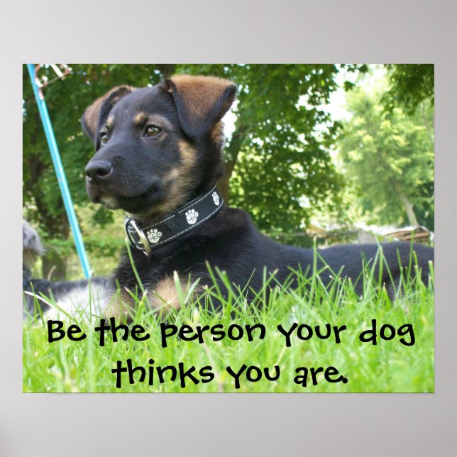 Be the Person your Dog thinks you are, Poster (Front)