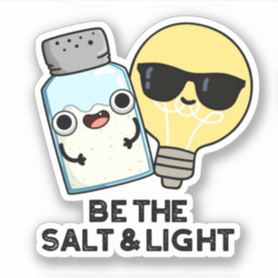 Be The Salt And Light Funny Bible Pun 