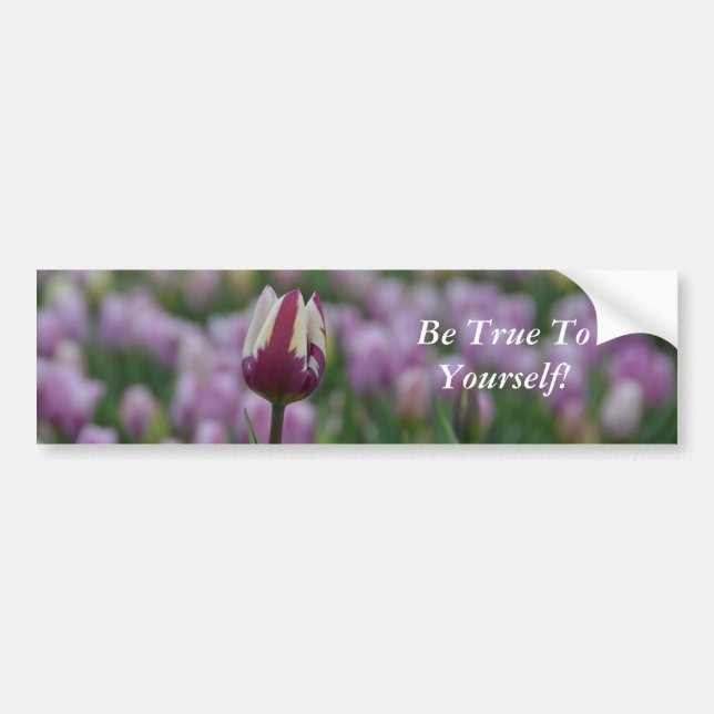 Be True to Yourself Bumper Sticker (Front)