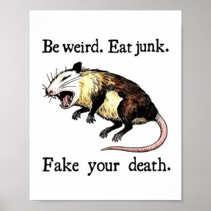 Be Weird Eat Junk Fake Your Death - Possum Playing Poster
