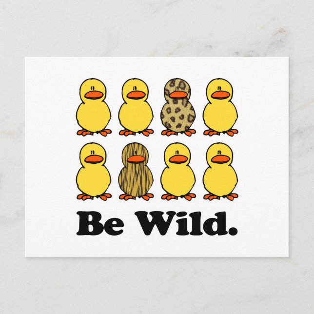 Be Wild Ducks Postcard (Front)