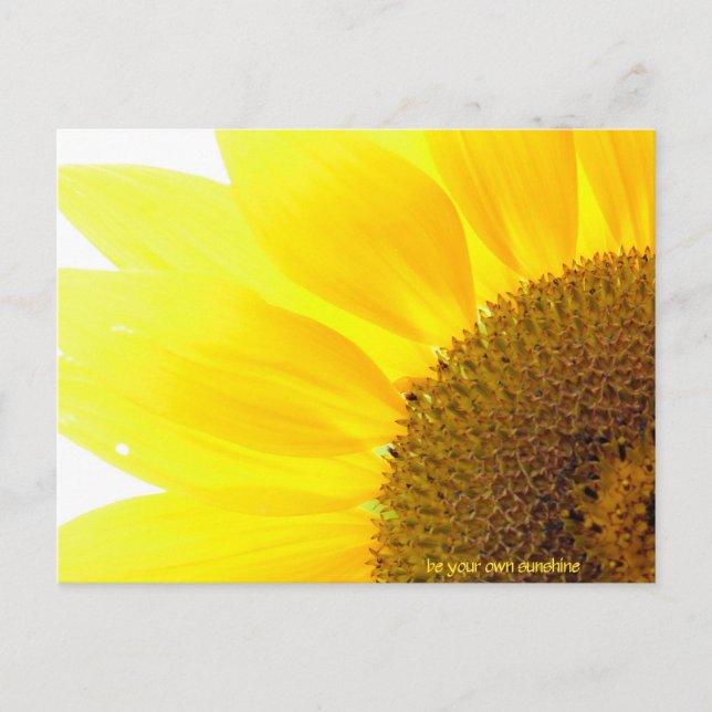 be your own sunshine sunflower postcard (Front)