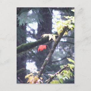 Be Yourself Postcard