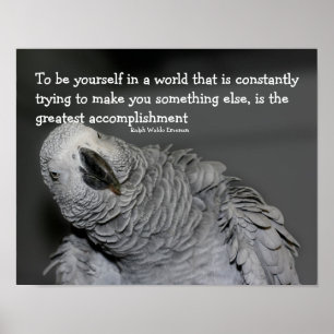 Be Yourself Quote Cute Parrot Inspirational Poster