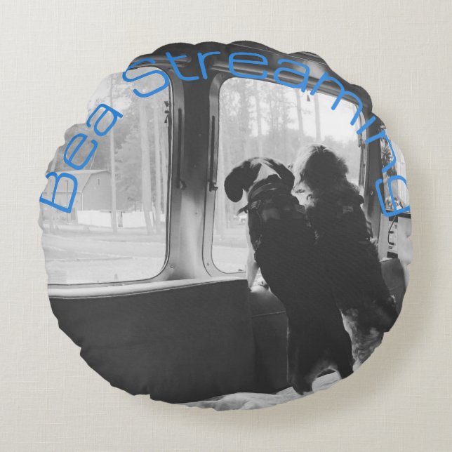 Bea Streaming Bailey Pillow (Front)