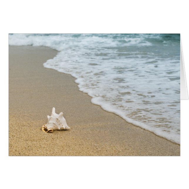 Beach (Front Horizontal)