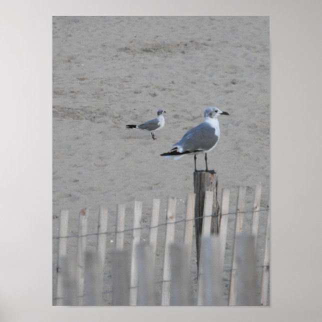 Beach ~ 25.5 poster (Front)