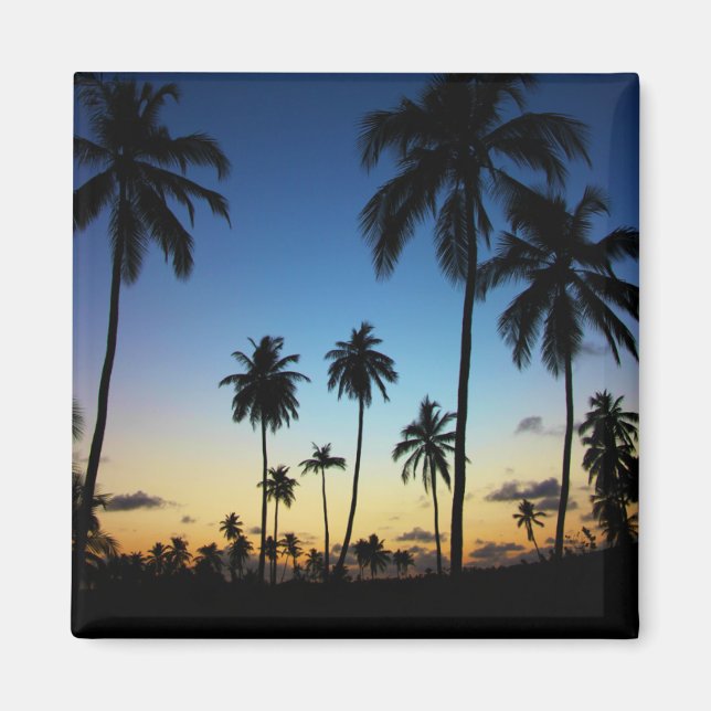 Beach And A Coastal Village | Praia Do Forte Magnet (Front)