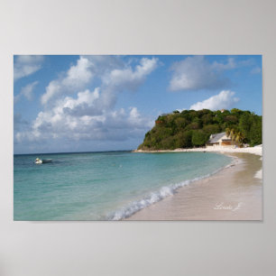 Beach and boat in Antigua Canvas Print
